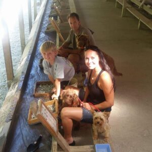 Gem mining, Gem Mountain, Spruce Pine, NC