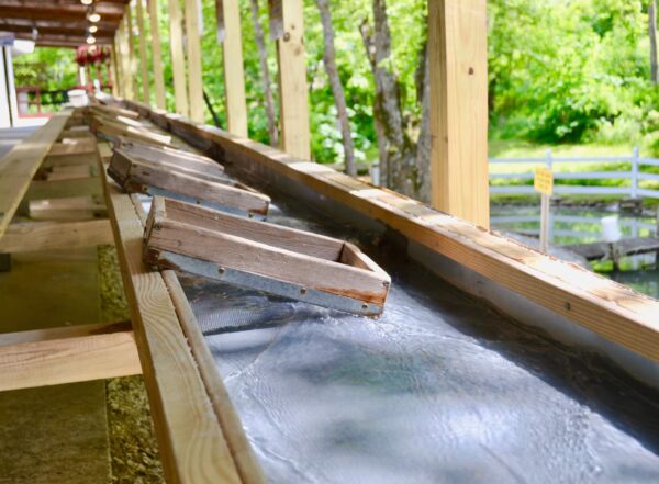 Gem mining, Gem Mountain, Spruce Pine, NC